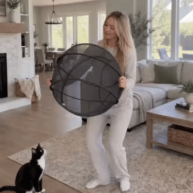 Cat inside the zipped playpen ball on a garden lawn