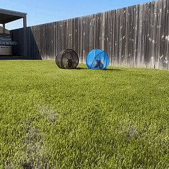 The playpen ball folded flat next to the opened ball